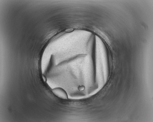 X0000116640105201001041038