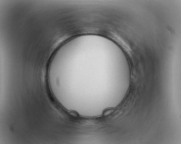 X0000116640107201001041038