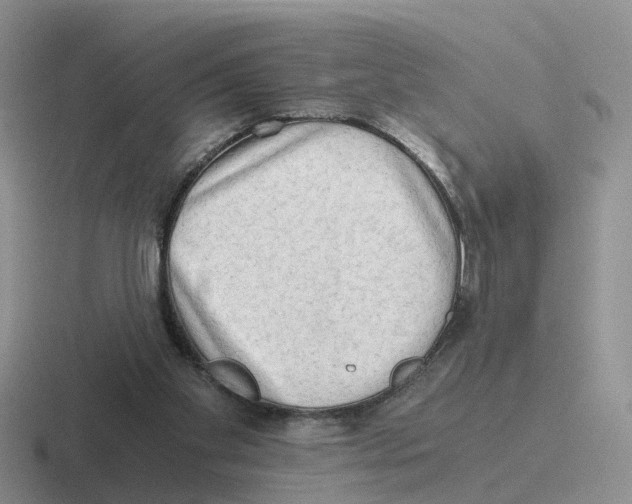 X0000116640109201001041038