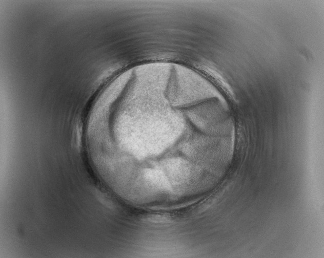 X0000116640110201001041038