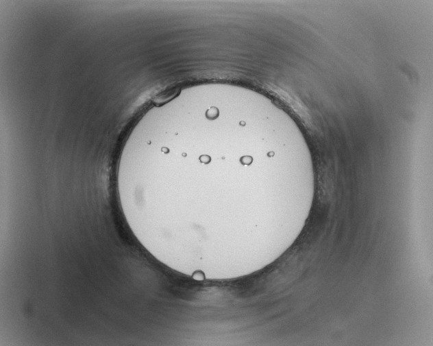 X0000116640111201001041038