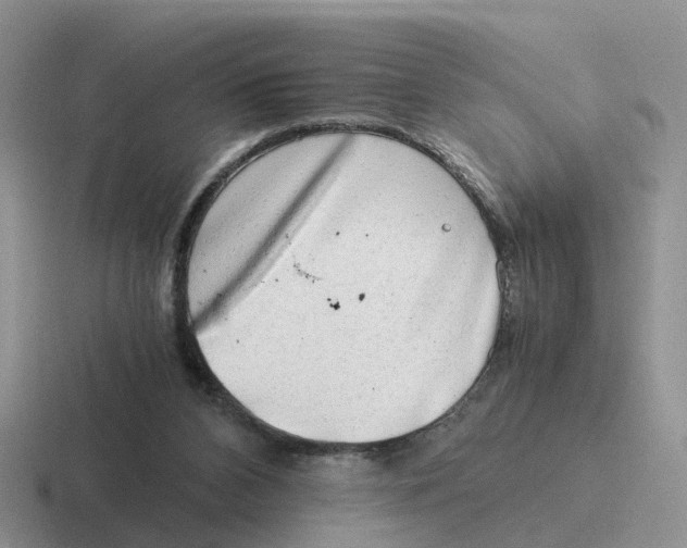 X0000116640112201001041038