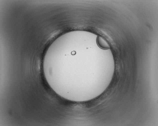 X0000116640115201001041038