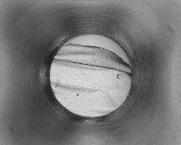 X0000116640116201001041038