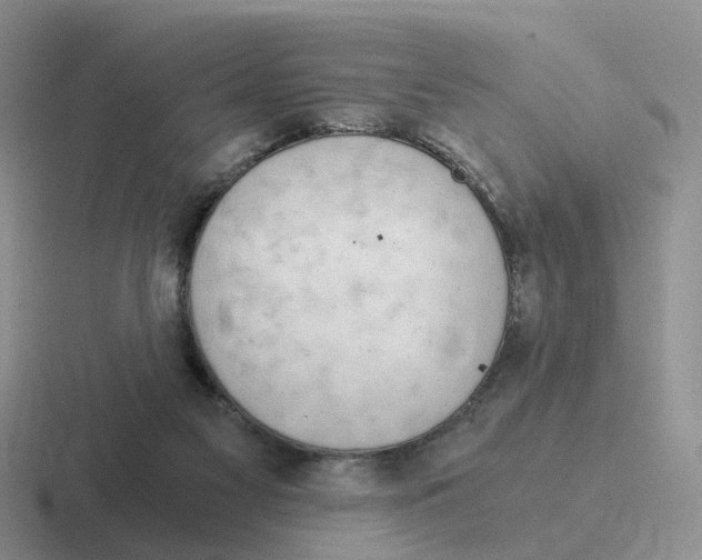 X0000116640117201001041038