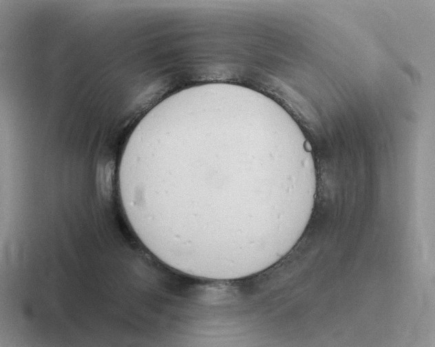 X0000116640118201001041038