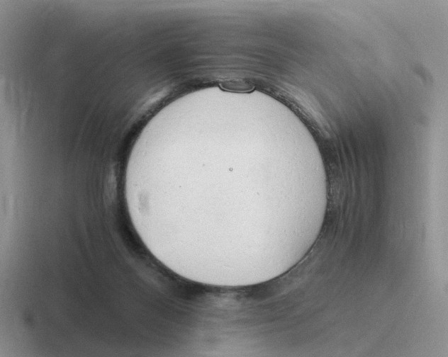 X0000116640120201001041038