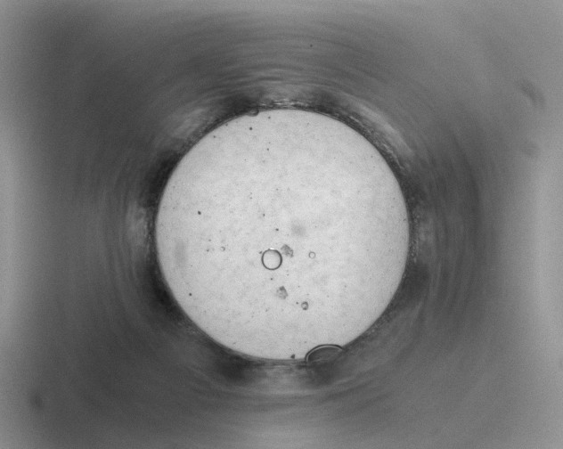 X0000116640121201001041038