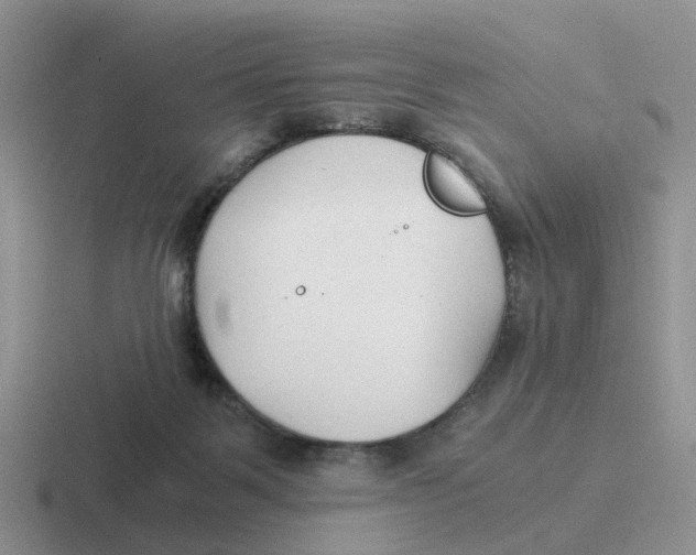 X0000116640123201001041038