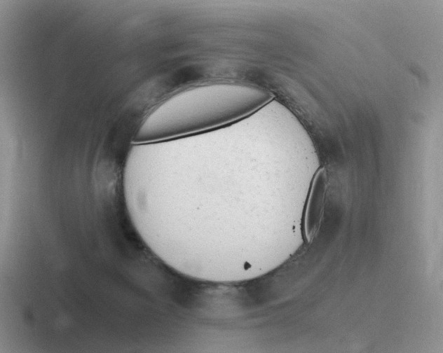 X0000116640125201001041038