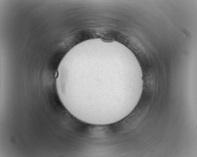 X0000116640129201001041038