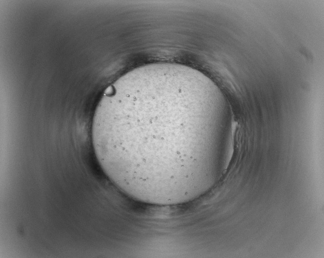 X0000116640131201001041038