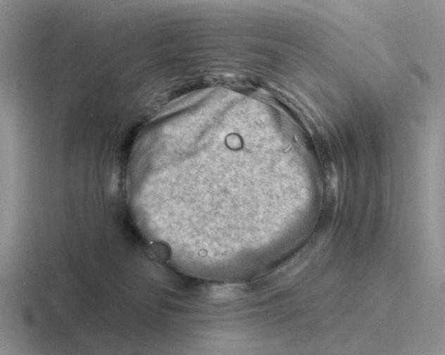 X0000116640134201001041038