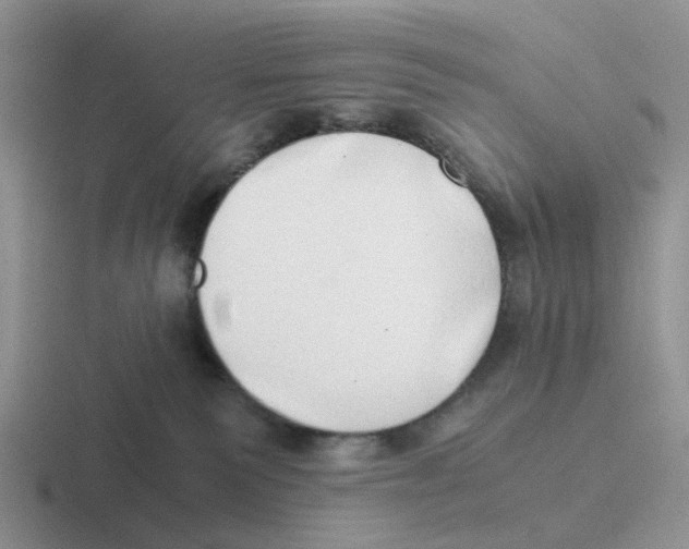 X0000116640135201001041038