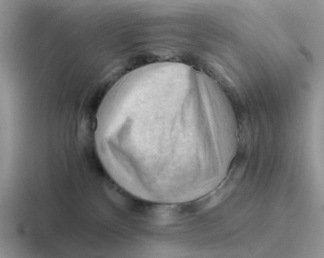 X0000116640136201001041038