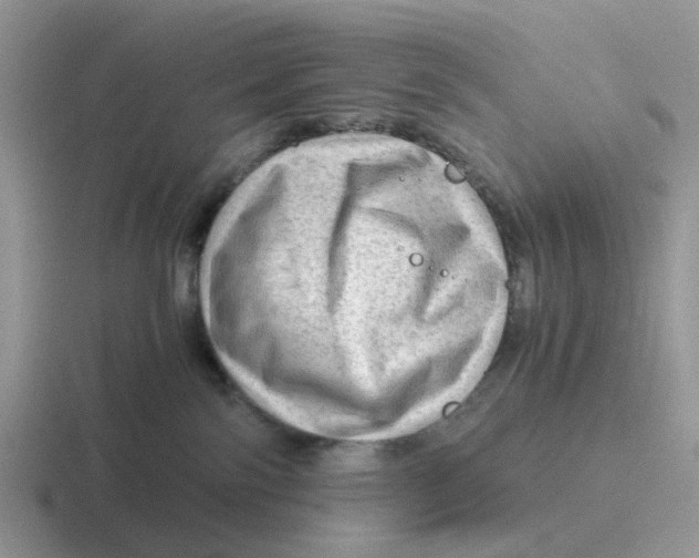 X0000116640138201001041038