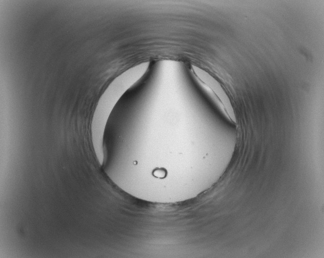 X0000116640141201001041038