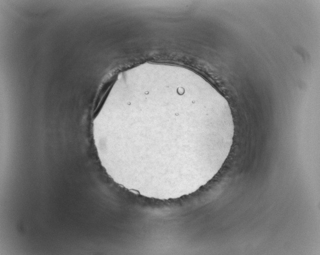 X0000116640144201001041038