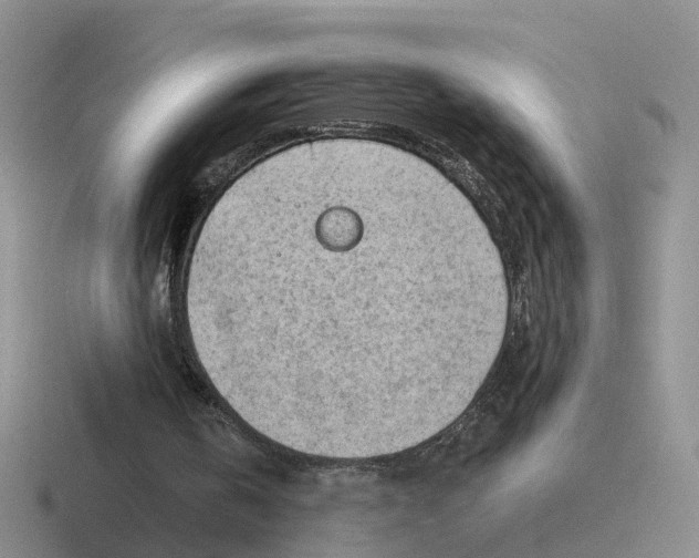 X0000116640146201001041037