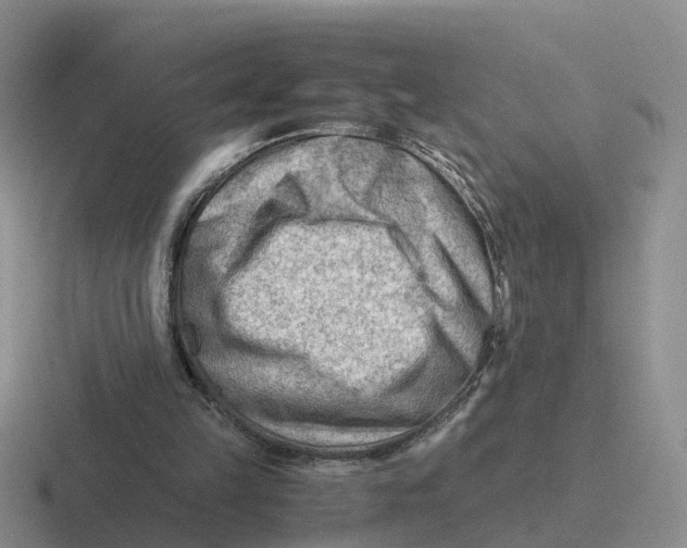 X0000116640149201001041037