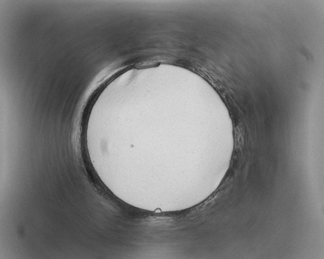 X0000116640150201001041037