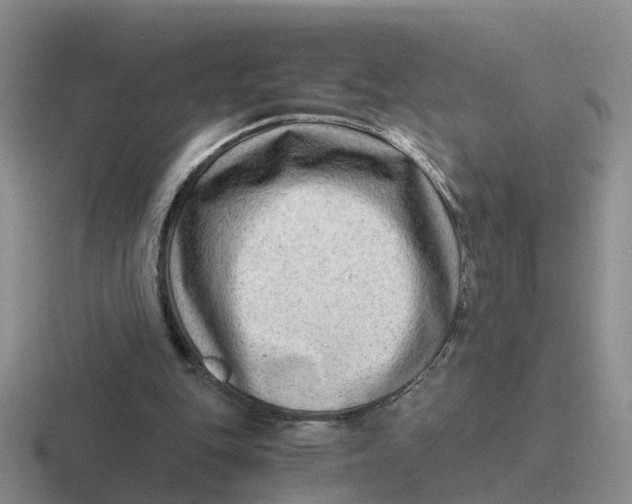 X0000116640151201001041037