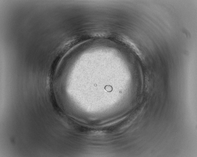 X0000116640161201001041038