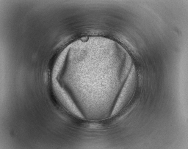 X0000116640165201001041038