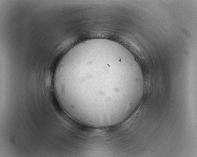 X0000116640166201001041038