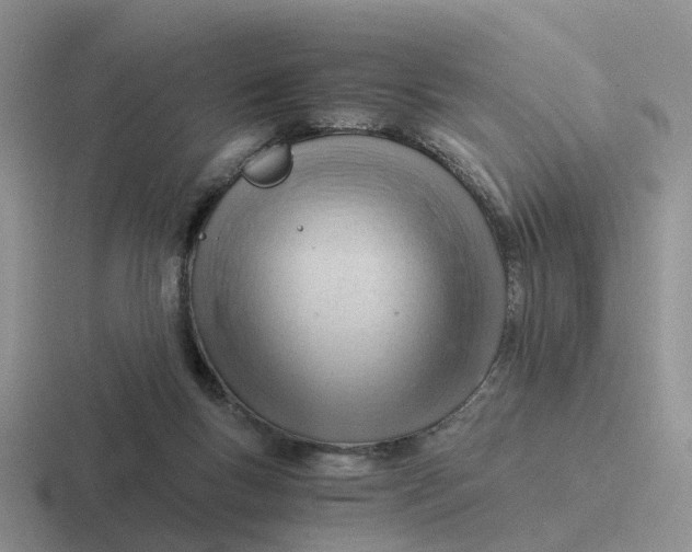 X0000116640167201001041038