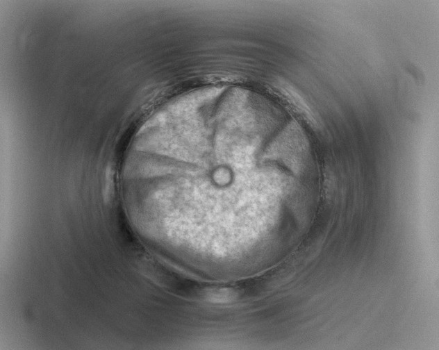 X0000116640169201001041038