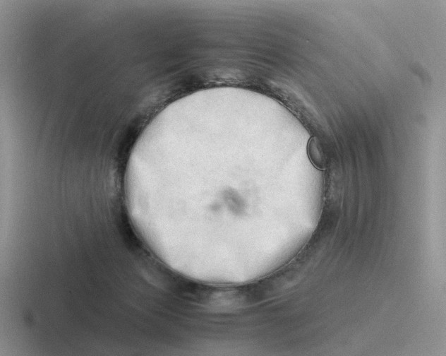 X0000116640173201001041038