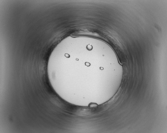 X0000116640174201001041038