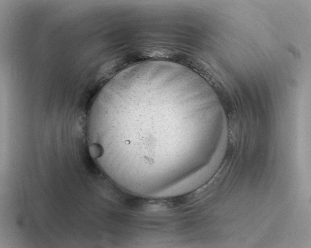 X0000116640175201001041038