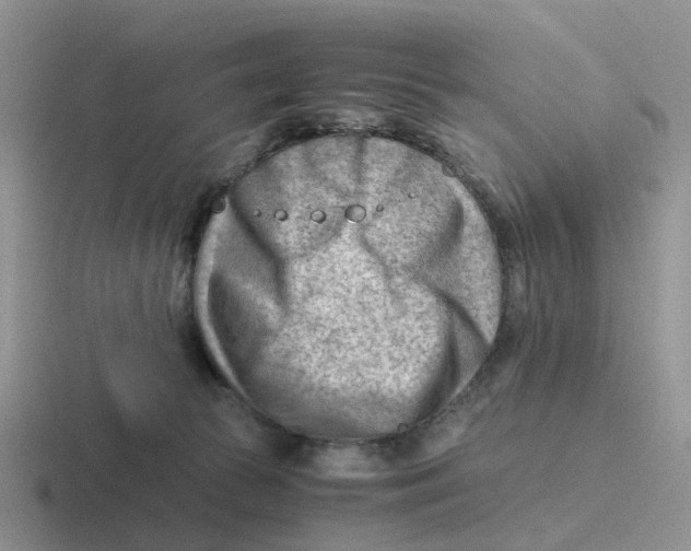 X0000116640177201001041038