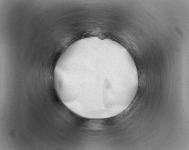 X0000116640179201001041038