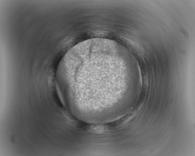 X0000116640181201001041038