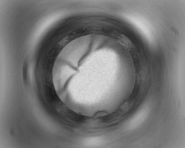 X0000116640189201001041038