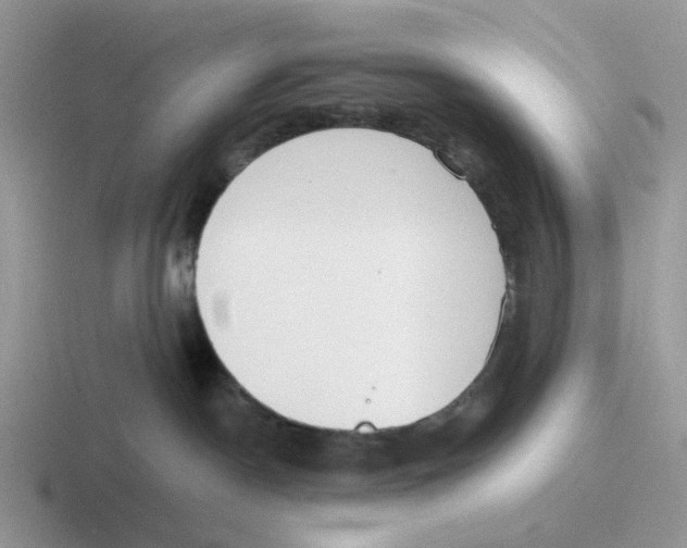 X0000116640190201001041038