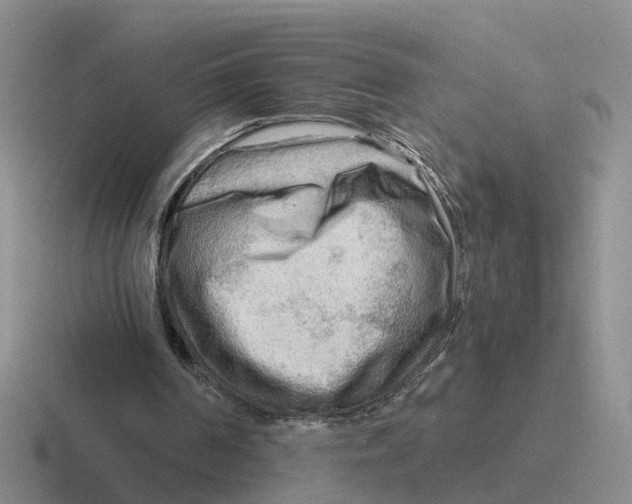 X0000116640194201001041037