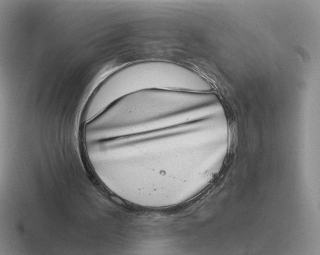 X0000116640195201001041037