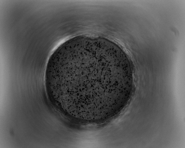 X0000116640196201001041037