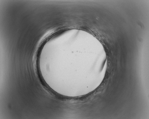 X0000116640197201001041037