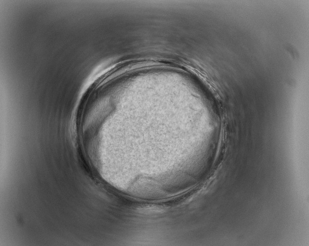 X0000116640198201001041037