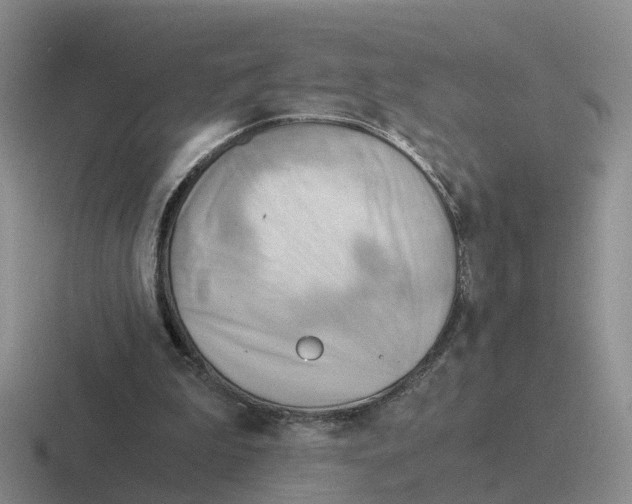 X0000116640199201001041037