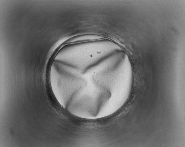 X0000116640200201001041037