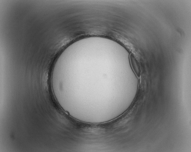 X0000116640201201001041037