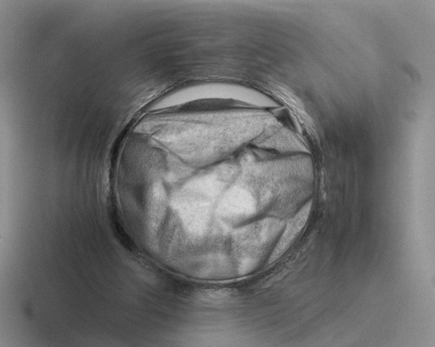 X0000116640202201001041037