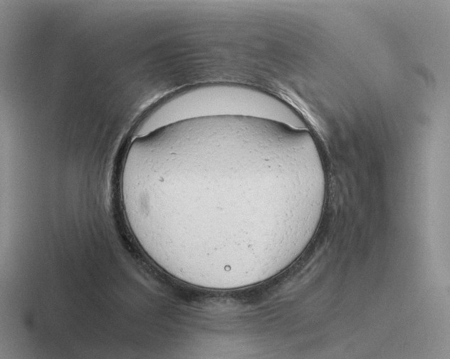 X0000116640203201001041037