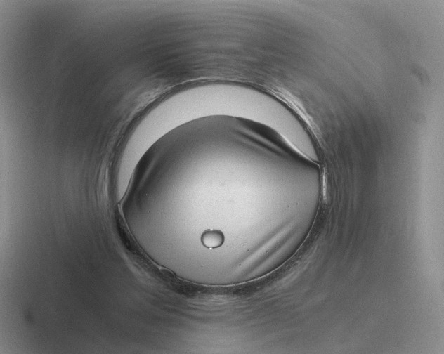 X0000116640205201001041037